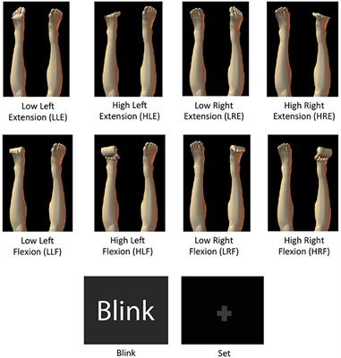 Decoding of Ankle Flexion and Extension from Cortical Current Sources Estimated from Non-invasive Brain Activity Recording Methods